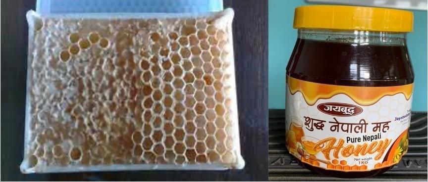 Raw forest honey harvesting Chitwan Nepal