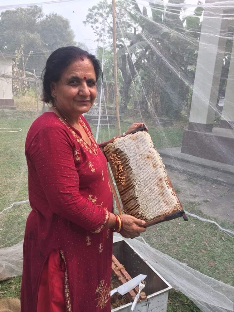Premium honey products range Jayabuddha Agrotech